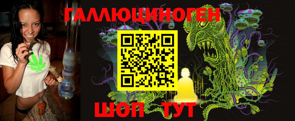 Галлюциногенные грибы Magic Shrooms  Вход с VPN  Новокубанск  Галлюциногенные грибы мицелий 
